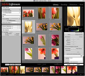 NAPP Launches Adobe Lightroom Learning Center