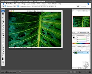 Adobe Offers Free Photoshop CS3 Video Tutorials At Their CS3 Video Workshop Site