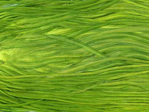 5 Diverse Textures From Bittbox - Green Grassy Texture